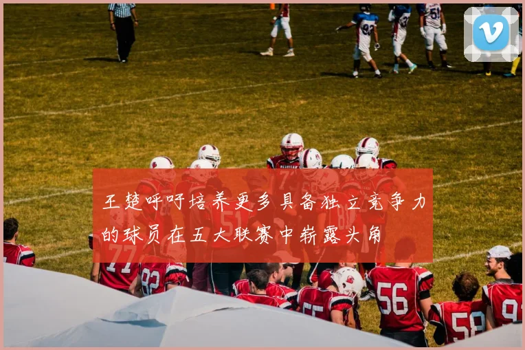 王楚呼吁培养更多具备独立竞争力的球员在五大联赛中崭露头角