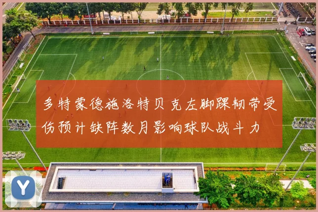 多特蒙德施洛特贝克左脚踝韧带受伤预计缺阵数月影响球队战斗力